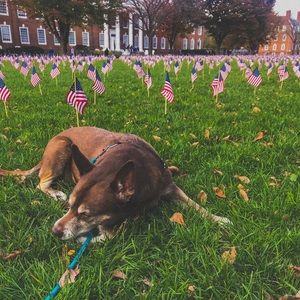 Meet your Posher, Michelle